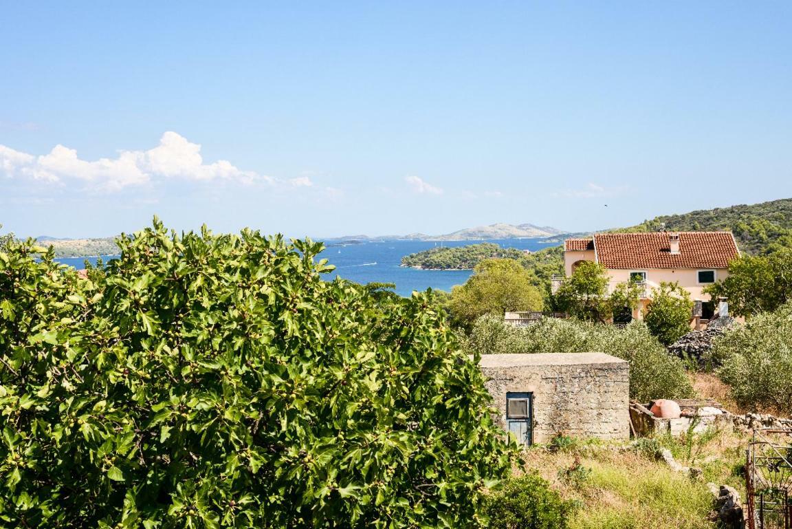 Apartment Lordanic Zaglav, Dugi Otok מראה חיצוני תמונה